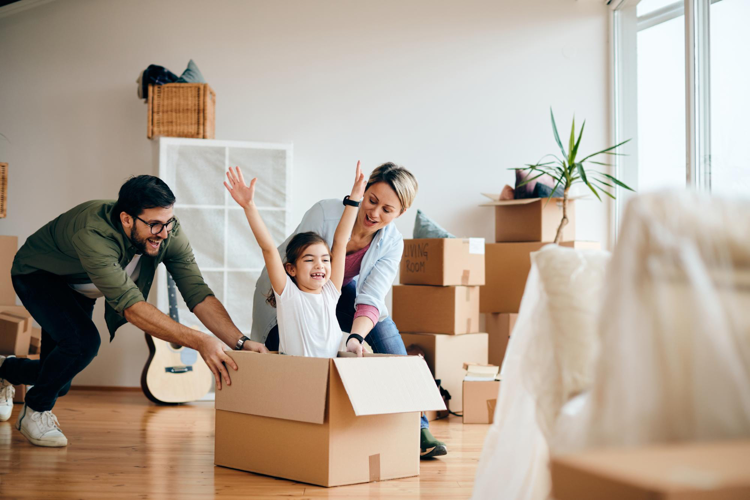 immobilier punaises de lit et immobilier